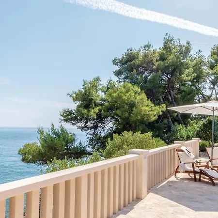 Bb Iii * פריזבה